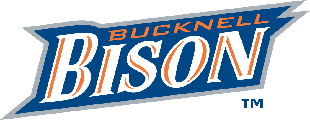 Bucknell Bison 2002-Pres Wordmark Logo diy fabric transfer